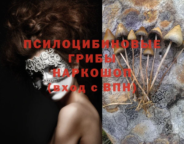 гашишное масло Заводоуковск
