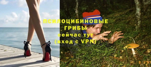 прущие грибы Ельня