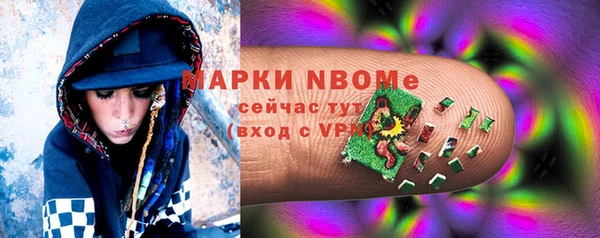 прущие грибы Ельня