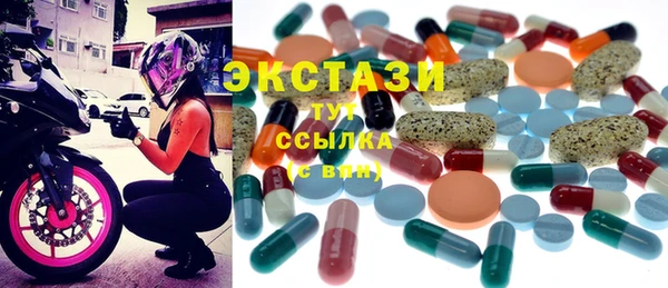 прущие грибы Ельня