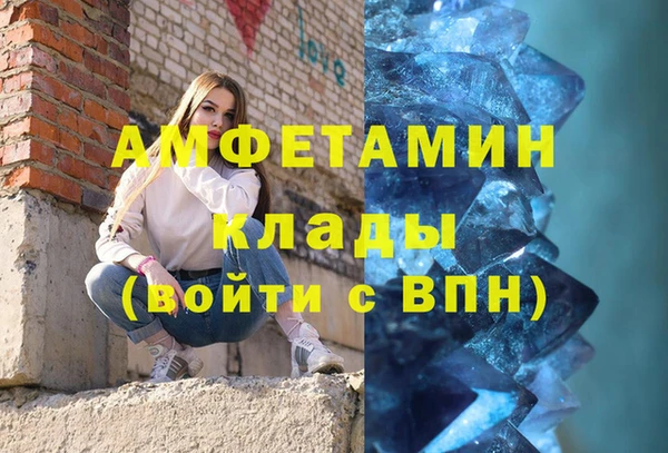 прущие грибы Ельня