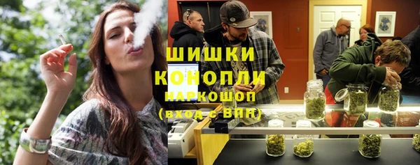 прущие грибы Ельня