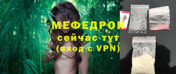 прущие грибы Ельня