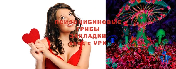 прущие грибы Ельня