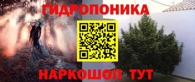 бошки Абакан