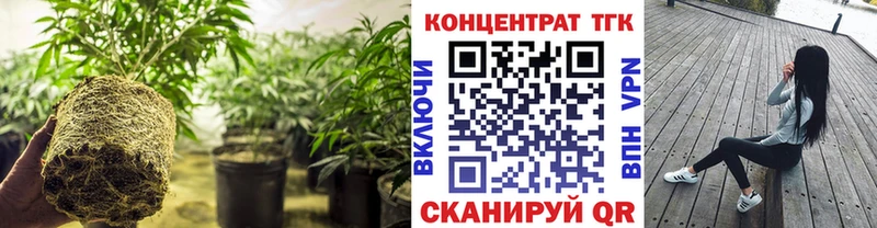 наркошоп  Новочебоксарск  ТГК концентрат 