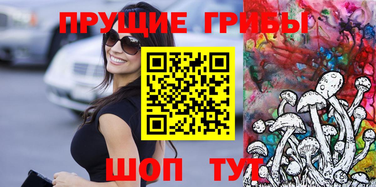 Псилоцибиновые грибы GOLDEN TEACHER  Вход с VPN  Новочебоксарск 