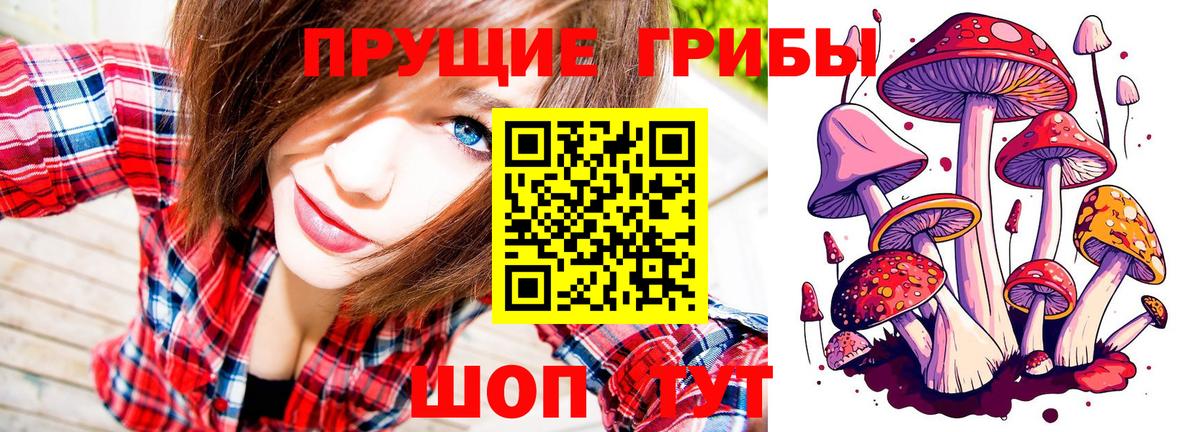 Новочебоксарск  Псилоцибиновые грибы мухоморы  Вход с VPN 