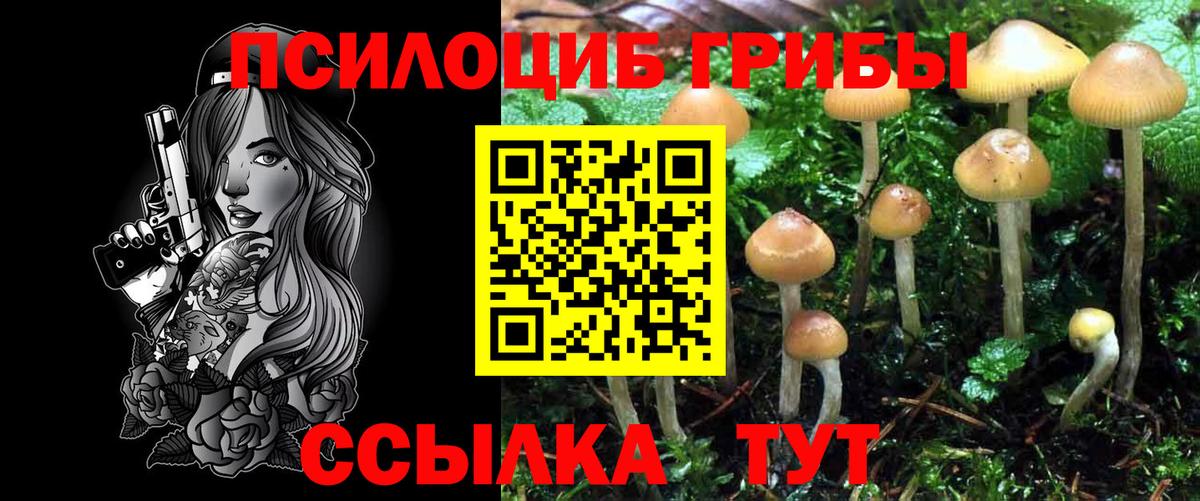 ГАШ  ГЕРОИН  Новочебоксарск  Купить  Меф МЯУ МЯУ   Канабис  Вход с VPN 