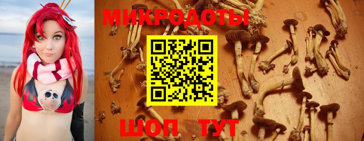 Галлюциногенные грибы Psilocybine cubensis Новочебоксарск